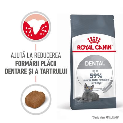 Hrana uscata pentru pisici, Royal Canin Dental Care, 400 gr - imagine 2